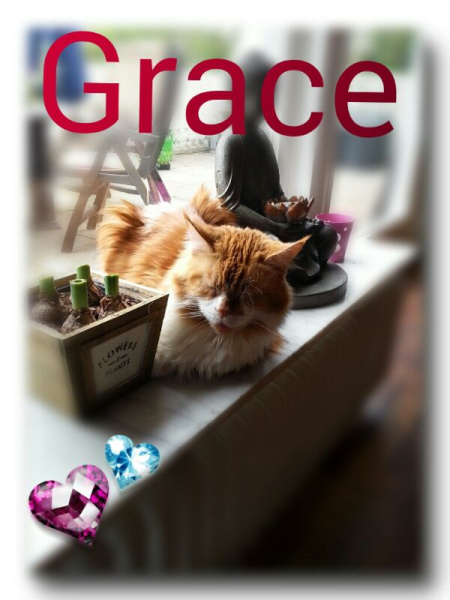grace