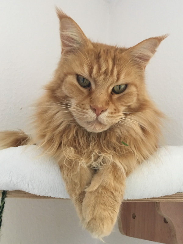 max