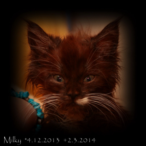 milky