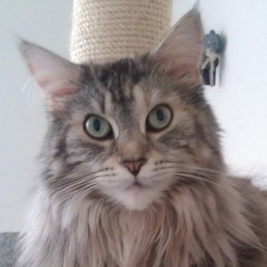 amy