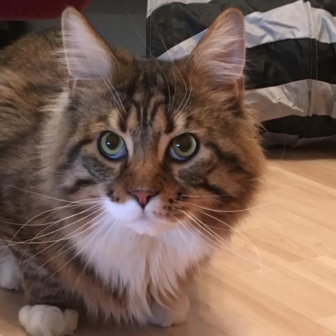 benny