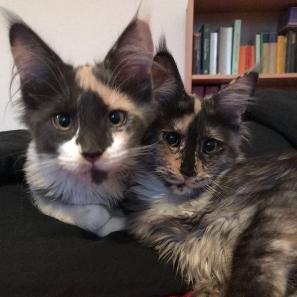 eve-lilit