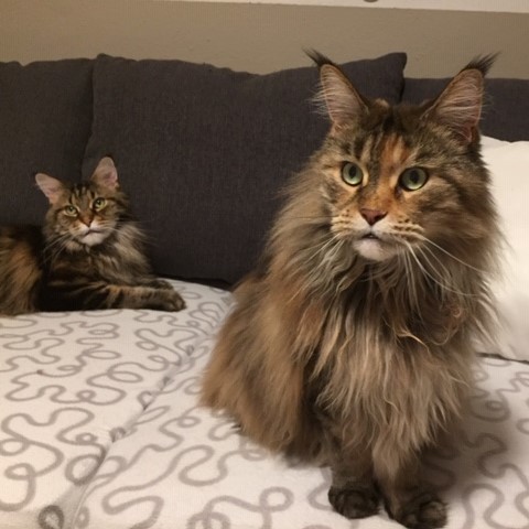 fritzi+mimi