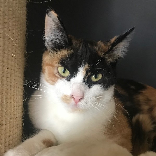 kira