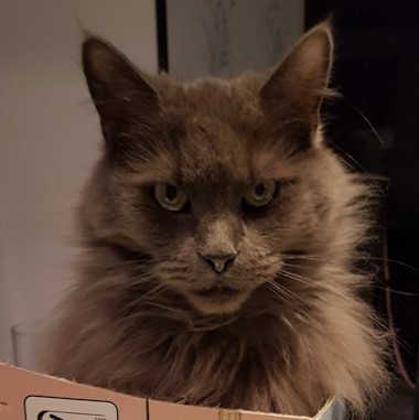 krümi