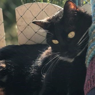 luna