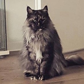 mala