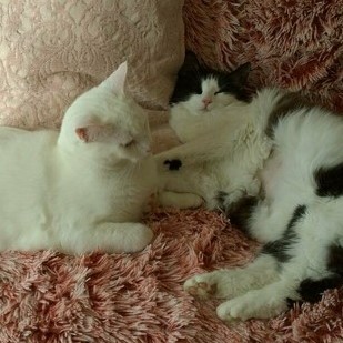 minou + nuka