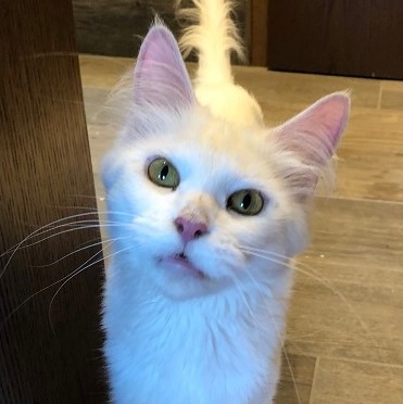 minu
