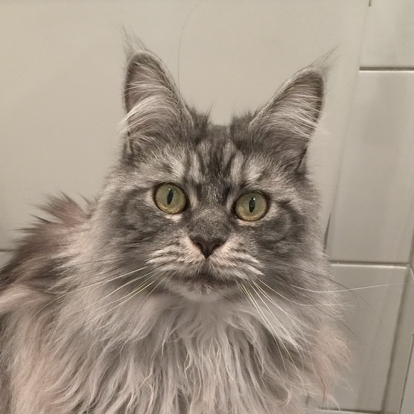missy