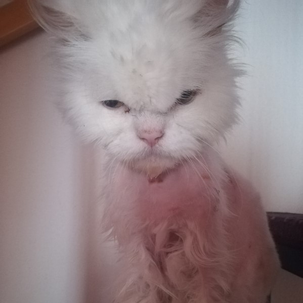 mo