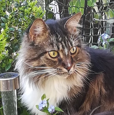 moritz