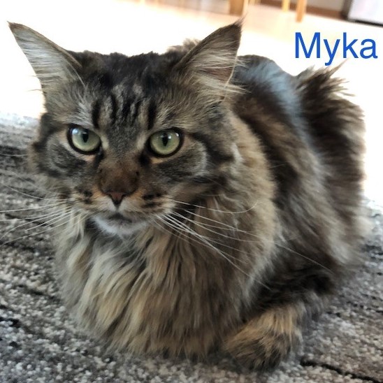 myka