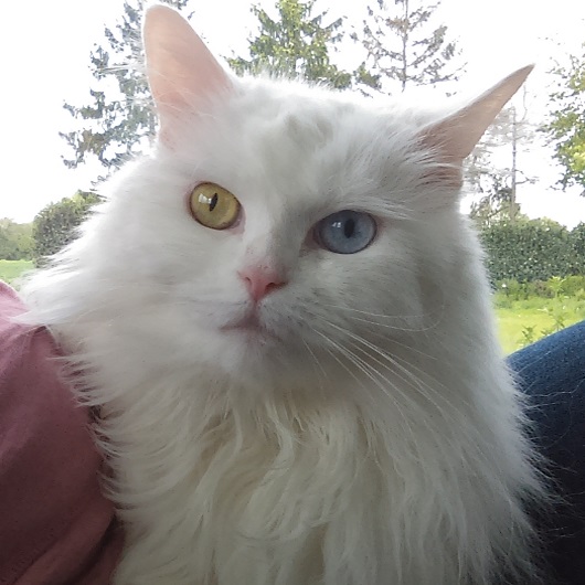 nala