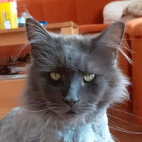 quincy