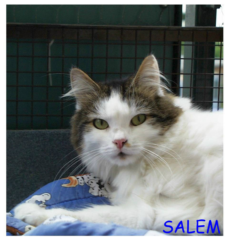 salem