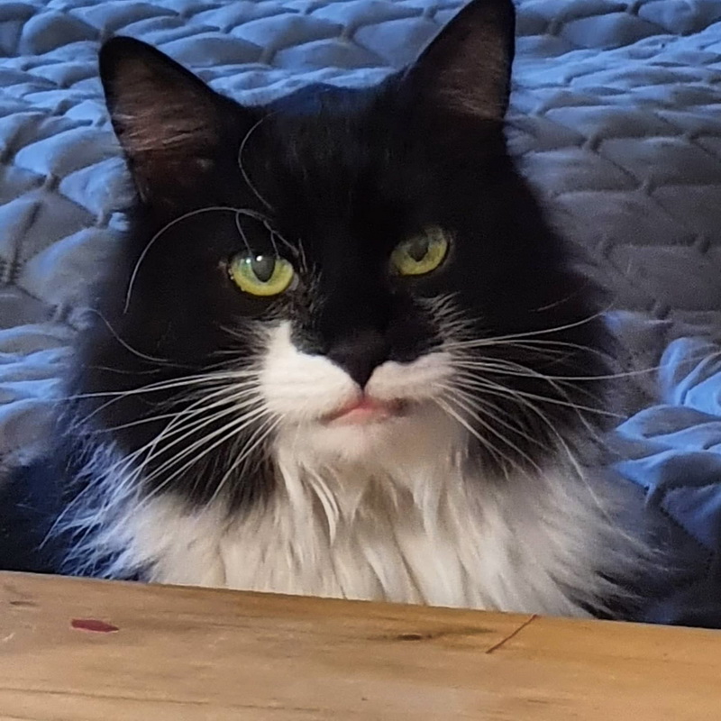 sammy