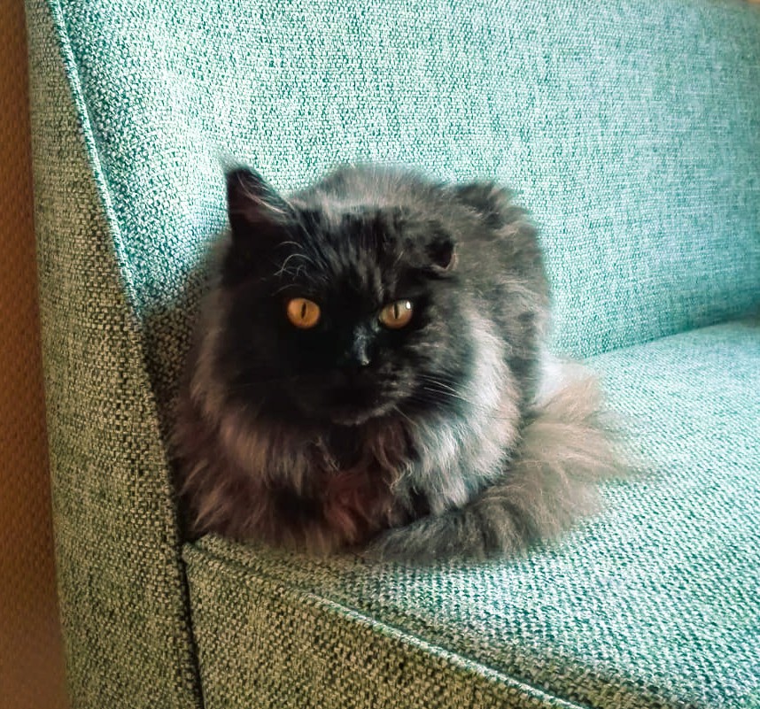 tinka