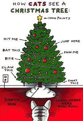 Weihnachtsbaum