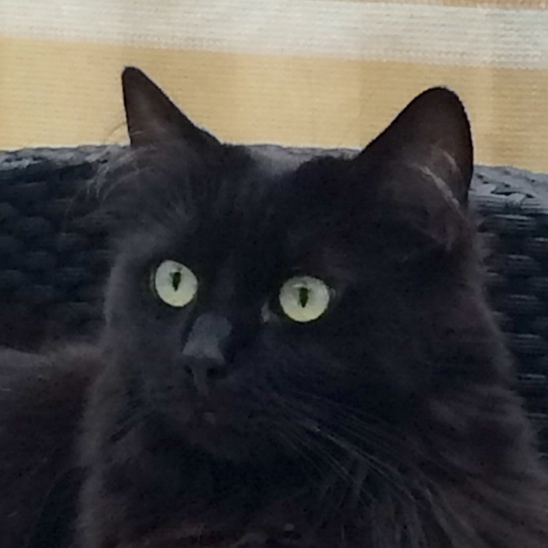 micky