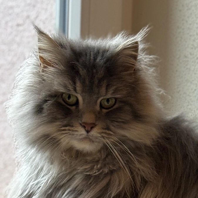 nala